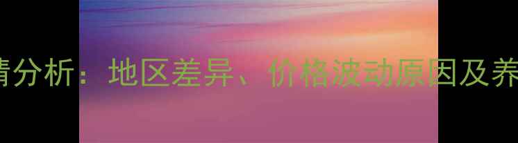 图片 肉公鸡价格行情分析：地区差异、价格波动原因及养殖户应对策略2