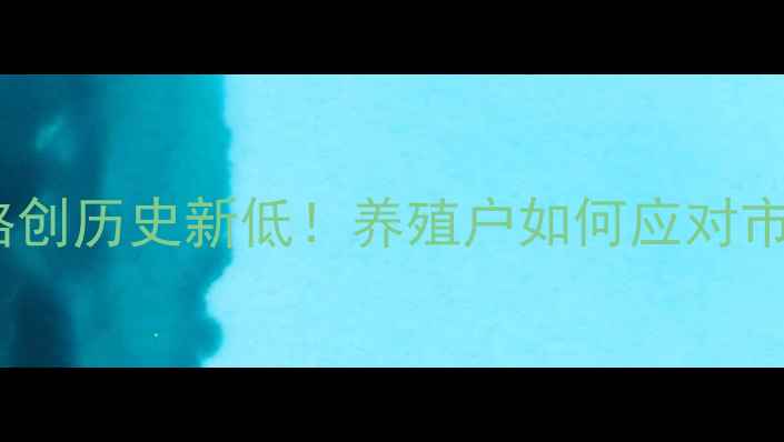 图片 肉毛鸡价格创历史新低！养殖户如何应对市场波动？1