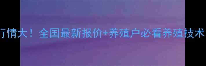 图片 肉红鸡价格行情大！全国最新报价+养殖户必看养殖技术，速看！🔥2