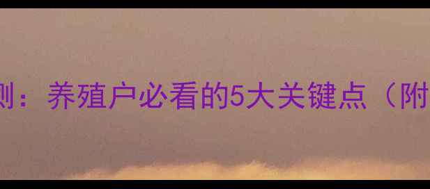 图片 肉鸡价格走势预测：养殖户必看的5大关键点（附最新数据解读）1