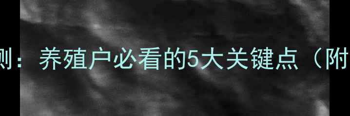 图片 肉鸡价格走势预测：养殖户必看的5大关键点（附最新数据解读）2