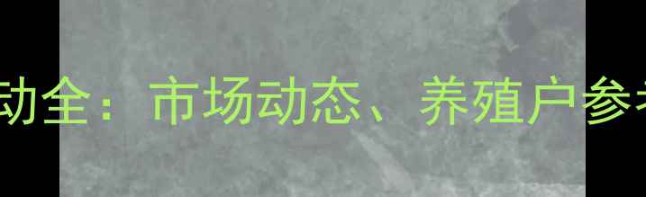 图片 肉鸡苗价格波动全：市场动态、养殖户参考与未来趋势2