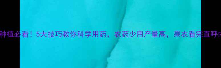 图片 脐橙种植必看！5大技巧教你科学用药，农药少用产量高，果农看完直呼内行2