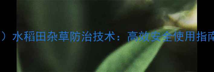 图片 艾法迪（氟吡磺隆钠）水稻田杂草防治技术：高效安全使用指南与田间管理全攻略2