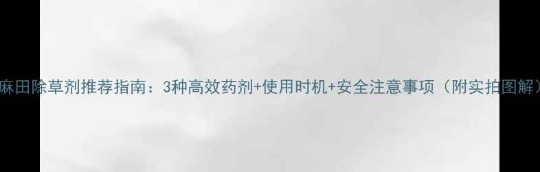 图片 芝麻田除草剂推荐指南：3种高效药剂+使用时机+安全注意事项（附实拍图解）2