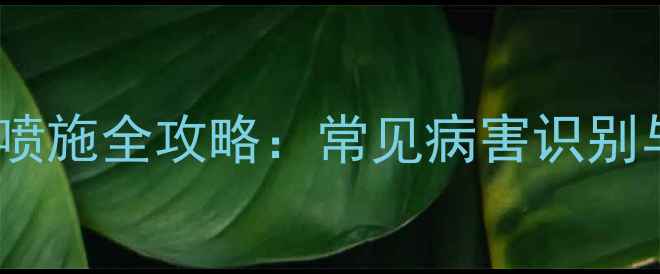 图片 花生开花期农药喷施全攻略：常见病害识别与高效防病方案2