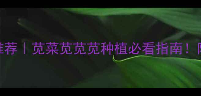 图片 苋科安全除草剂推荐｜苋菜苋苋苋种植必看指南！附使用避坑清单🌱