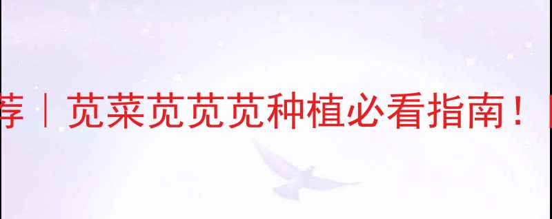 图片 苋科安全除草剂推荐｜苋菜苋苋苋种植必看指南！附使用避坑清单🌱1