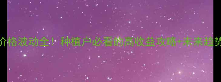 图片 苞谷价格波动全！种植户必看的高收益攻略+未来趋势预测