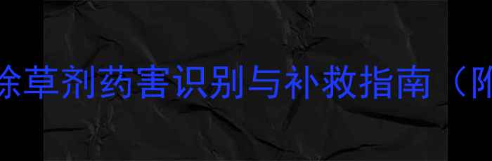 图片 茴香种植必看！除草剂药害识别与补救指南（附专业解决方案）