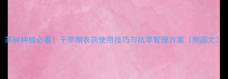 图片 茶树种植必看！干旱期农药使用技巧与抗旱管理方案（附图文）