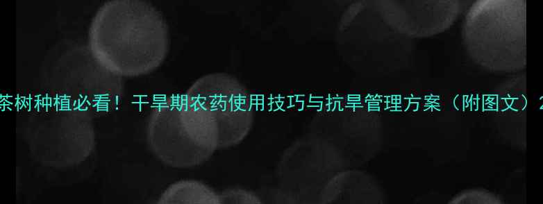 图片 茶树种植必看！干旱期农药使用技巧与抗旱管理方案（附图文）2