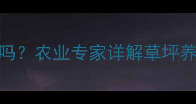 图片 草坪杀虫剂对狗狗安全吗？农业专家详解草坪养护与宠物健康五大误区