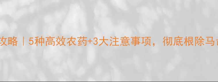 图片 菊科杂草全攻略｜5种高效农药+3大注意事项，彻底根除马齿苋苍耳！2