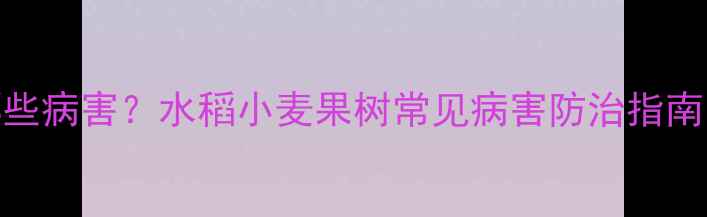 图片 菌毒大夫农药适用哪些病害？水稻小麦果树常见病害防治指南（附科学用药方案）