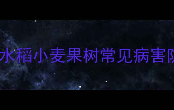 图片 菌毒大夫农药适用哪些病害？水稻小麦果树常见病害防治指南（附科学用药方案）2