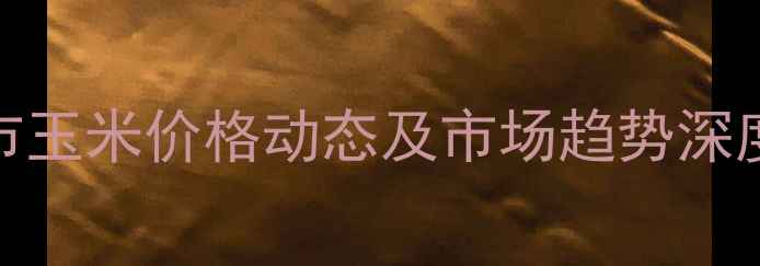 图片 菏泽市玉米价格动态及市场趋势深度分析