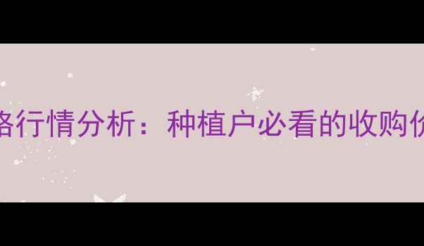 图片 菏泽玉米最新价格行情分析：种植户必看的收购价与市场趋势解读