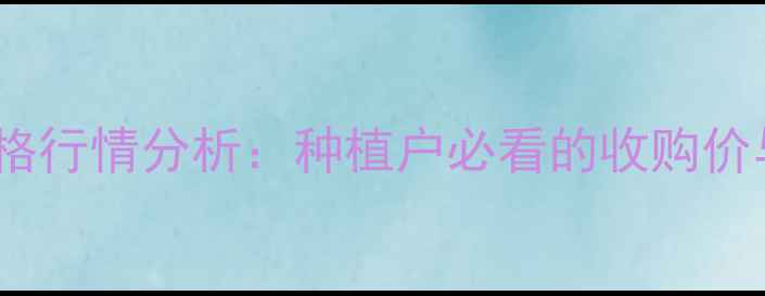 图片 菏泽玉米最新价格行情分析：种植户必看的收购价与市场趋势解读1