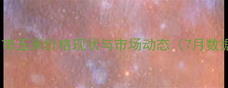 图片 菜州市玉米价格现状与市场动态（7月数据）2