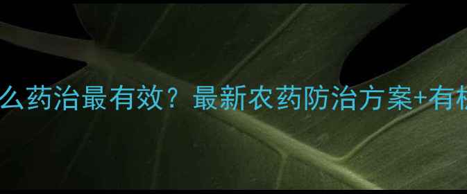 图片 菜青虫用什么药治最有效？最新农药防治方案+有机替代法全1