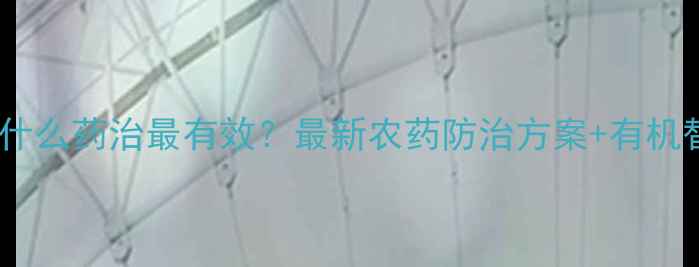 图片 菜青虫用什么药治最有效？最新农药防治方案+有机替代法全2