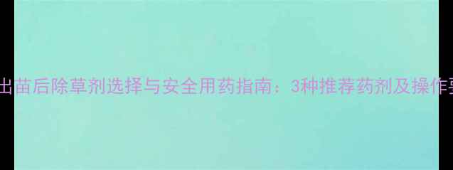 图片 菠菜出苗后除草剂选择与安全用药指南：3种推荐药剂及操作要点2