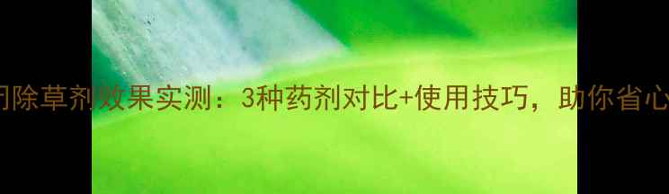 图片 菠菜苗前封闭除草剂效果实测：3种药剂对比+使用技巧，助你省心省力高收益1