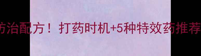 图片 葡萄霜霉病最新防治配方！打药时机+5种特效药推荐，附用药方案表2