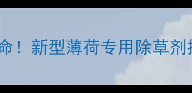 图片 薄荷种植迎来绿色革命！新型薄荷专用除草剂技术与科学管理方案2