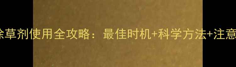 图片 蚕豆除草剂使用全攻略：最佳时机+科学方法+注意事项2