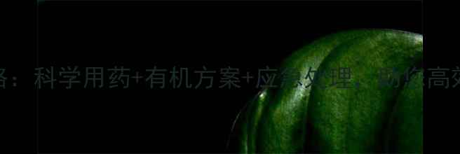 图片 蚜虫防治全攻略：科学用药+有机方案+应急处理，助您高效灭杀不伤作物