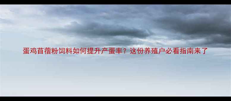 图片 蛋鸡苜蓿粉饲料如何提升产蛋率？这份养殖户必看指南来了
