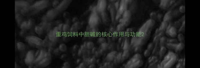 图片 蛋鸡饲料中胆碱的核心作用与功能2