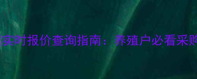 图片 蛋鸡饲料批发价格全国实时报价查询指南：养殖户必看采购策略与市场波动分析2