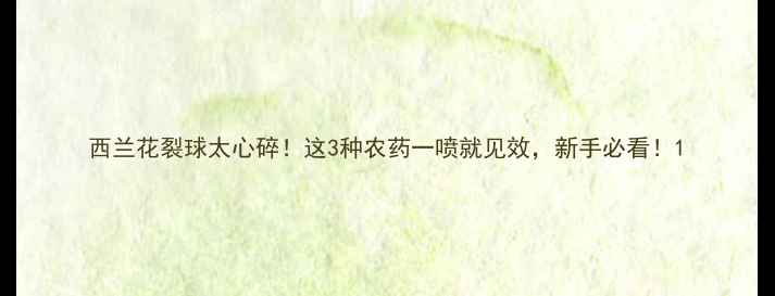 图片 西兰花裂球太心碎！这3种农药一喷就见效，新手必看！1