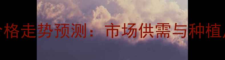 图片 西南朝天椒价格走势预测：市场供需与种植户应对策略全