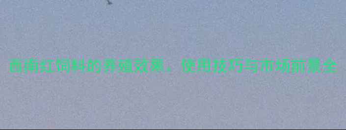 图片 西南红饲料的养殖效果、使用技巧与市场前景全