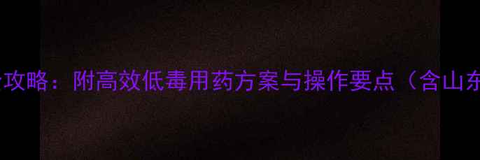 图片 西红柿农药科学施用全攻略：附高效低毒用药方案与操作要点（含山东寿光产区示范案例）1