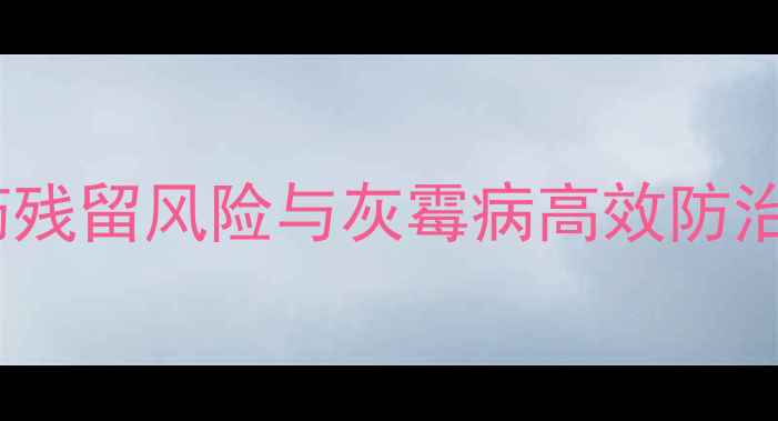 图片 西红柿种植必看！5大农药残留风险与灰霉病高效防治方法（附权威解决方案）