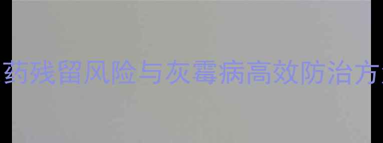 图片 西红柿种植必看！5大农药残留风险与灰霉病高效防治方法（附权威解决方案）1