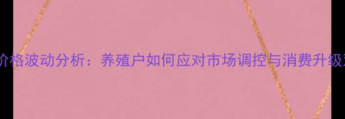 图片 许昌鸡蛋价格波动分析：养殖户如何应对市场调控与消费升级双重挑战2