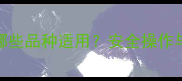 图片 谷子除草剂使用指南：哪些品种适用？安全操作与风险防控全（最新版）