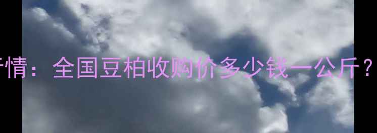图片 豆柏最新价格行情：全国豆柏收购价多少钱一公斤？种植户必看！1