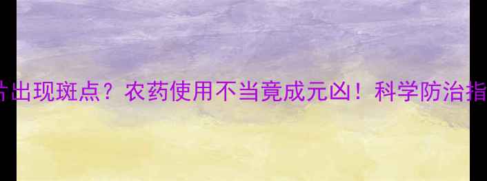 图片 豆角叶片出现斑点？农药使用不当竟成元凶！科学防治指南来了2