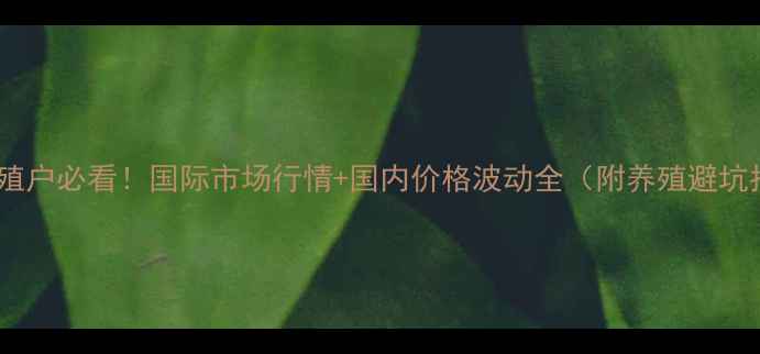 图片 貂皮养殖户必看！国际市场行情+国内价格波动全（附养殖避坑指南）2