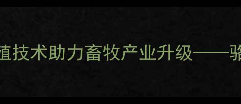 图片 贵阳骆驼饲料厂：创新养殖技术助力畜牧产业升级——骆驼饲料生产与养殖全流程