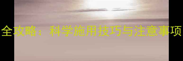 图片 费啶胺农药使用全攻略：科学施用技巧与注意事项（附安全指南）