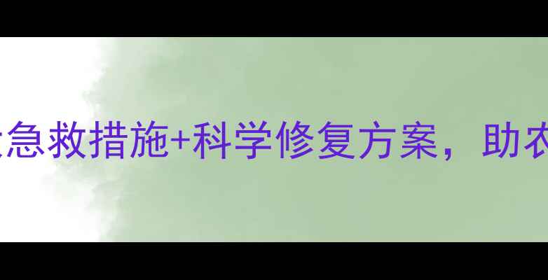 图片 辣椒农药药害5大急救措施+科学修复方案，助农户挽回万元损失