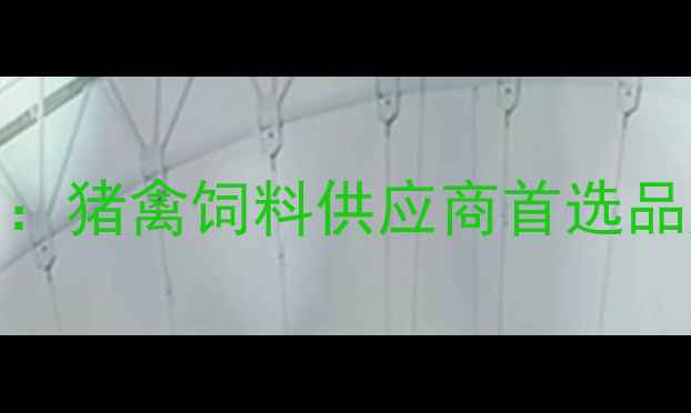 图片 辽宁众博饲料最新推荐：猪禽饲料供应商首选品牌，年产能突破50万吨